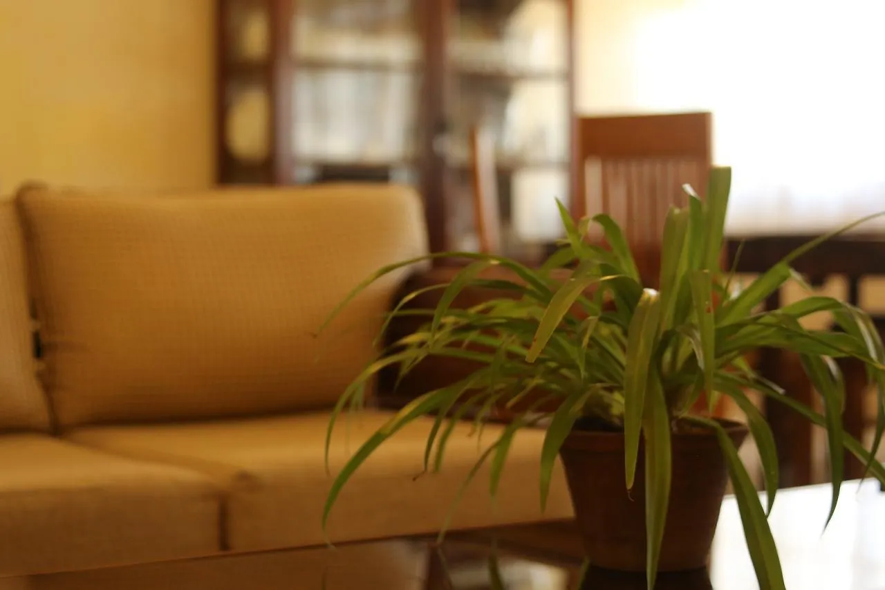 New Reverie Hill Bungalow Kandy Pensionat